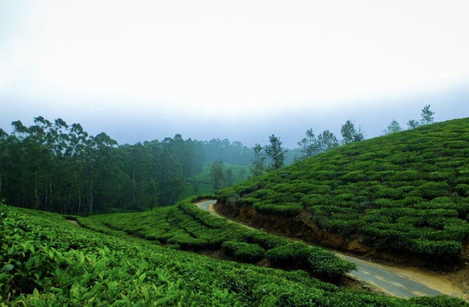 Top 10 Weekend Getaways from Bangalore