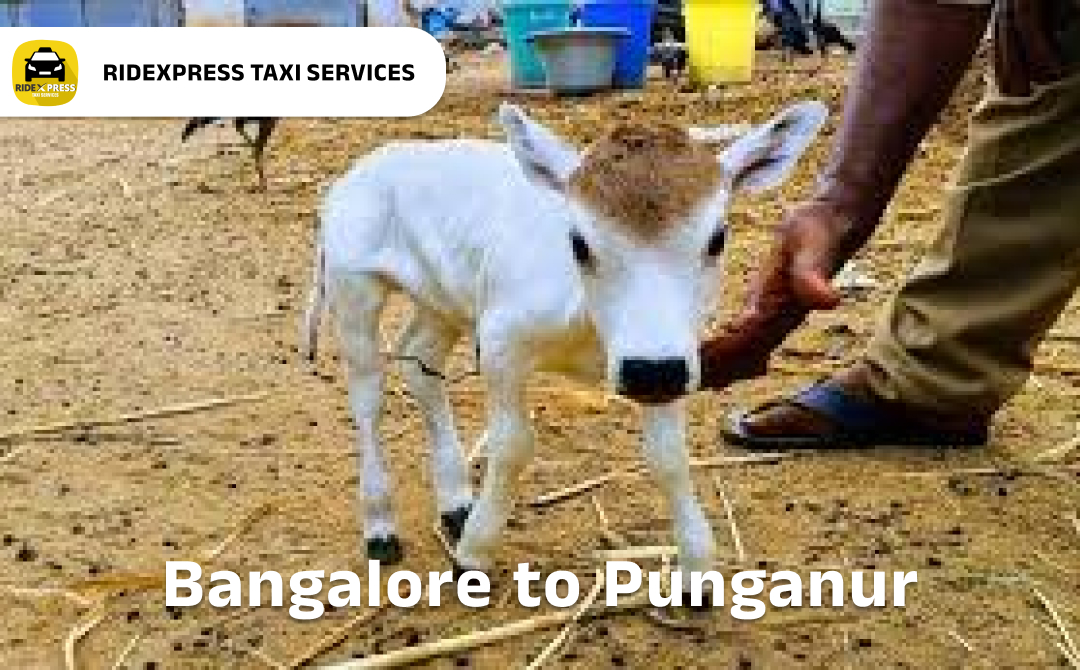 bangalore-to-punganur-taxi-services