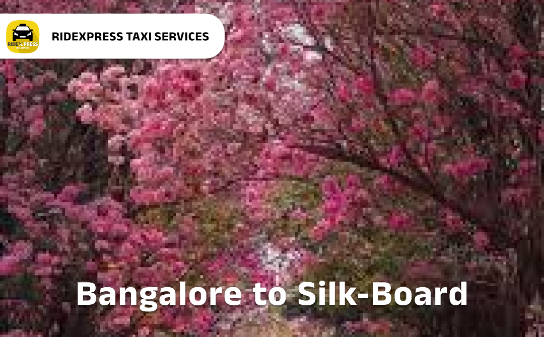 bangalore-silk-board-airport-pickup-taxi