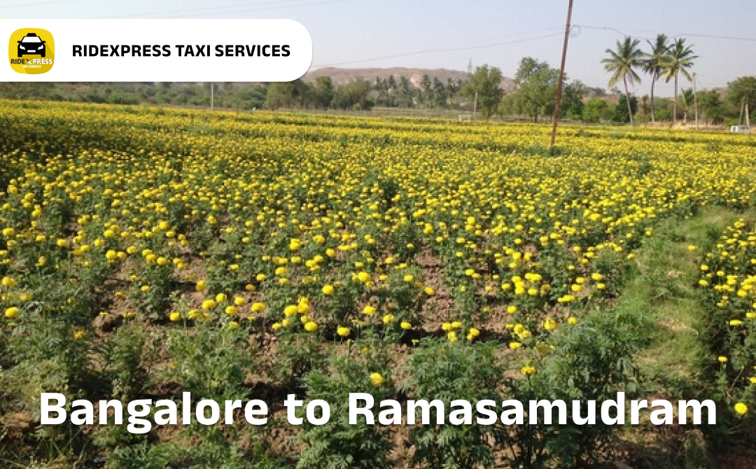 bangalore-to-ramasamudram-taxi-services