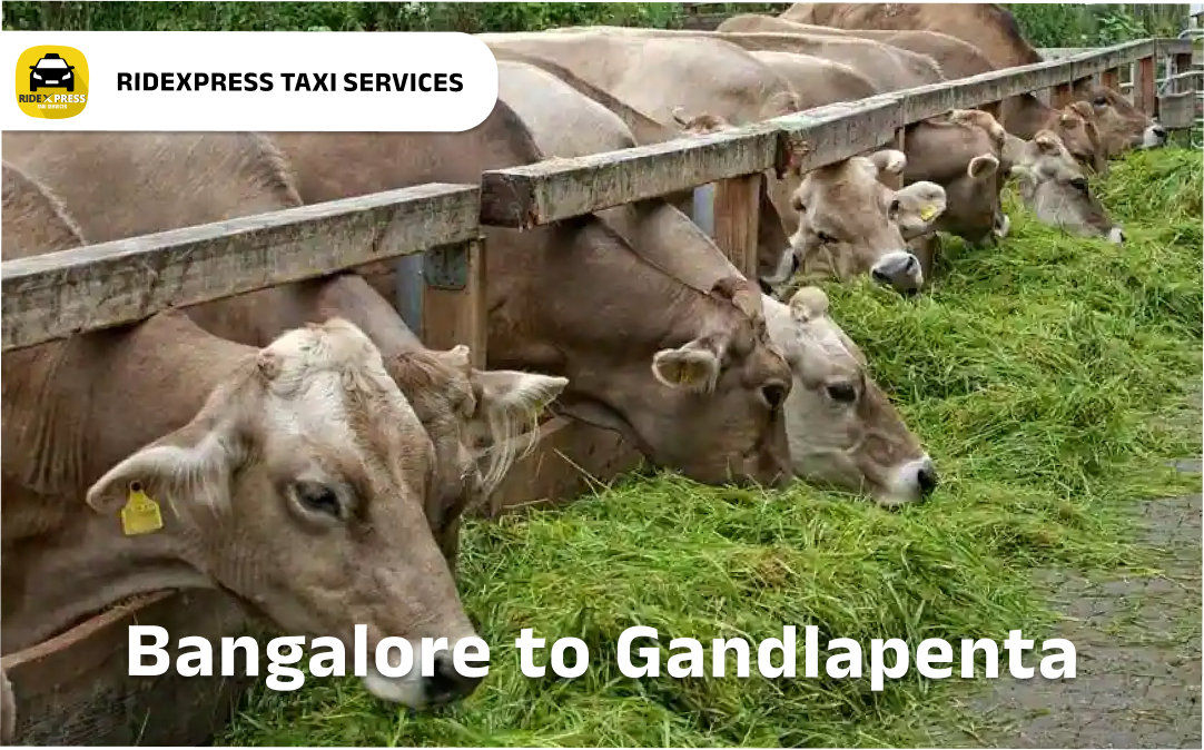 bangalore-to-gandlapenta-taxi-services