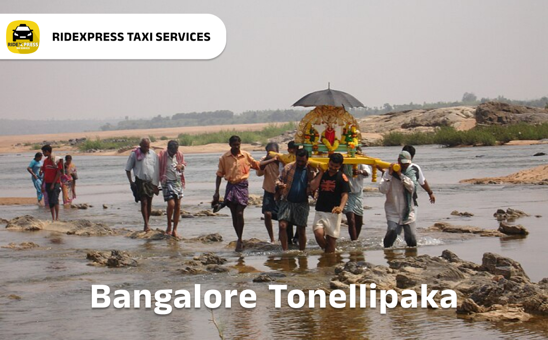 bangalore-to-nellipaka-taxi-services