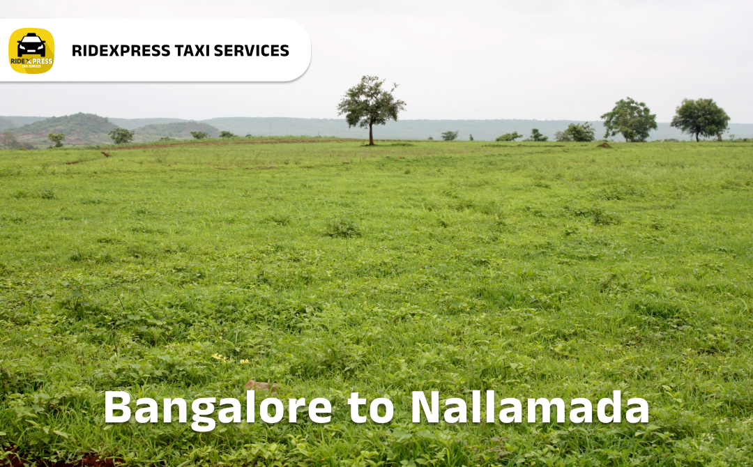 bangalore-to-nallamada-taxi-services