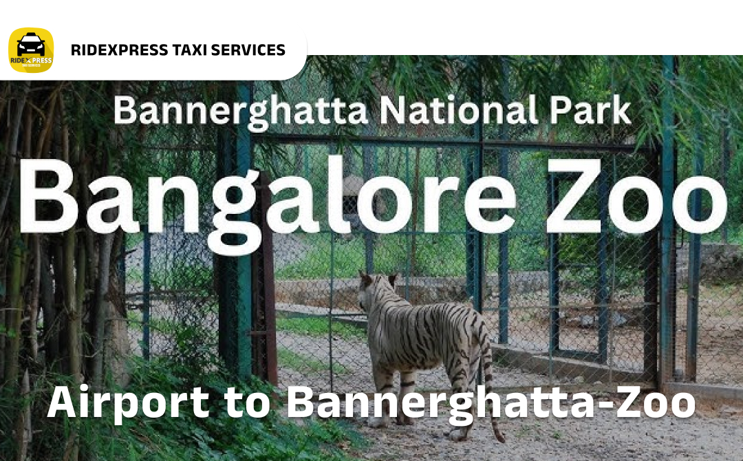 bannerghatta-zoo-airport-pickup-taxi