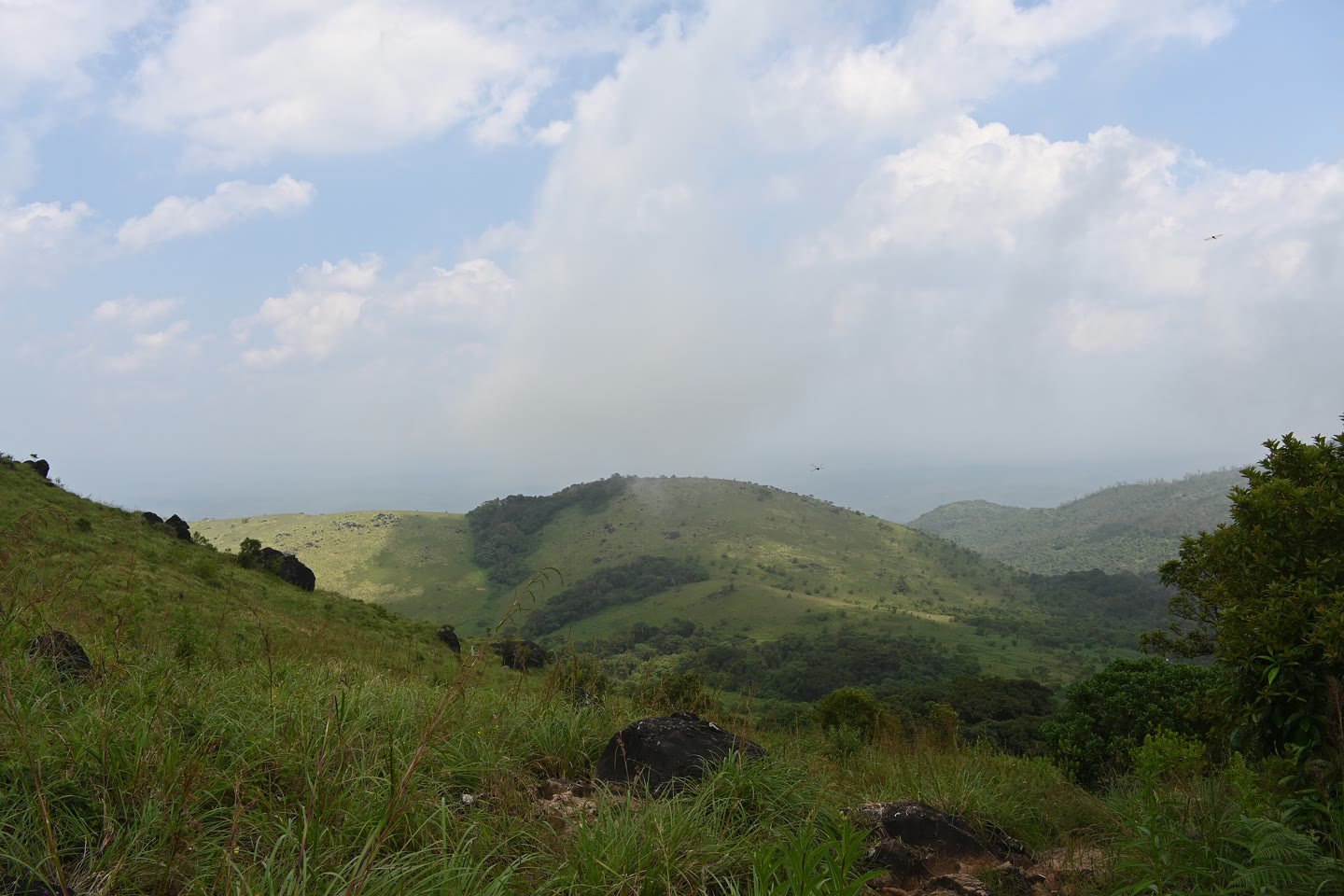 Tadiandamol landscape in Coorg